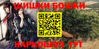 спиды Дубна