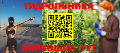 индика Донецк
