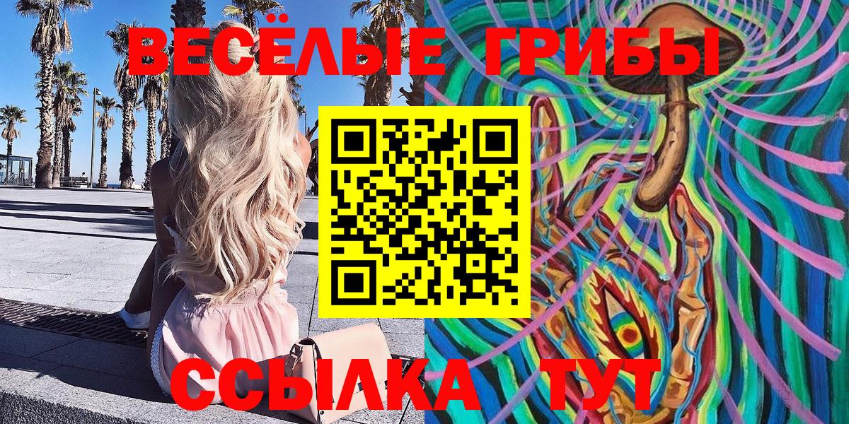 Михайловка  Псилоцибиновые грибы MAGIC MUSHROOMS  Вход с VPN  Псилоцибиновые грибы Psilocybine cubensis 